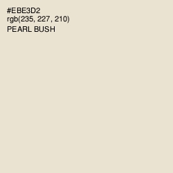 #EBE3D2 - Pearl Bush Color Image